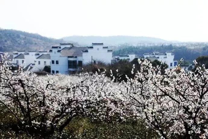 64年中苏边境谈判：承诺珍宝岛归还中国，为何最后谈判破裂？
